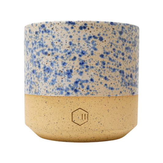 Blue Speckled Glaze / Brown Speckled Clay